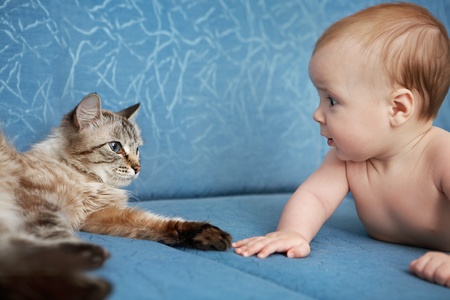 Baby and the cat lay on the couch and stare at each otherの写真素材