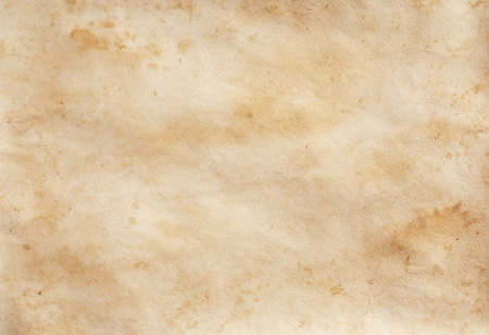 	The yellow-brown spots on the old textural piece of paper の写真素材