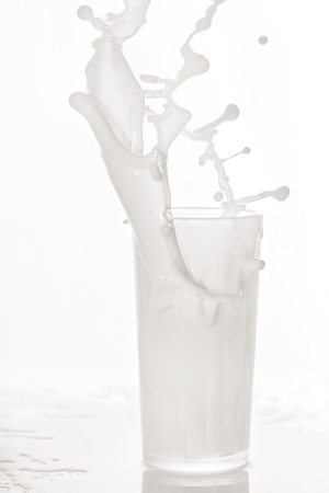 Milk splashes out of a glass cup. Splashes, drops, white background.の写真素材