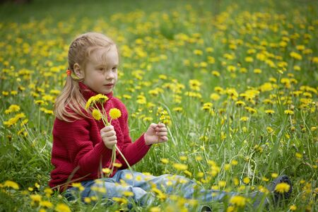 Little girl sits on the grass and holds a bouquet of dandelions in her handsの写真素材