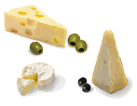 Still life. A variety of cheeses and olives. Vector illustration.のイラスト素材