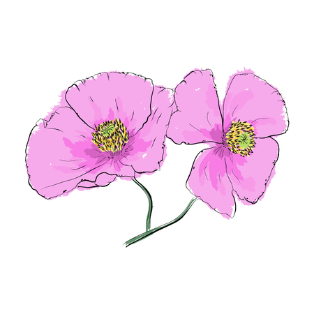 Hand draw of flower. Vector illustration.のイラスト素材