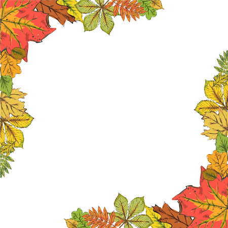 Postcard with colorful autumn leaves. Frame of autumn leaves with a white background.  Hand drawn vector illustration.のイラスト素材