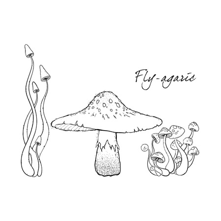 Fly agaric, non-edible poisonous forest mushrooms. Sketch. Hand drawn vector illustration.のイラスト素材