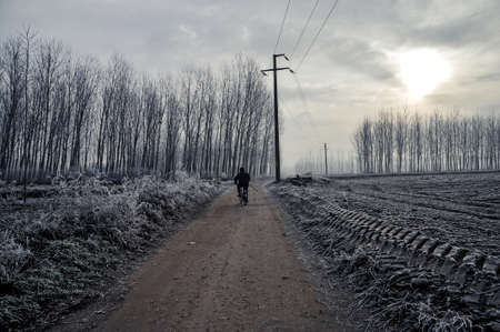 Mortara -12/30/2011: man on bycicle along a road in po valley poplar trees covered with frostの写真素材