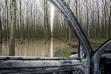 Gravellona Lomellina - 03/17/2011: flooded poplar grove view from window burnt out car abandonedの写真素材