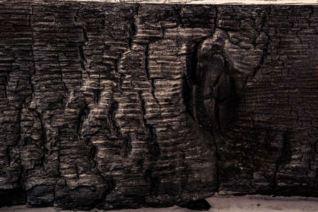 close up black scratched wooden background. Details on the surface of charcoalの写真素材