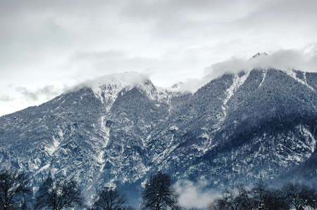Madonna di Campiglio, Trentino Alto Adige, Italy - 01/28/06: the Dolomites snow-capped mountains and pine forestsの写真素材