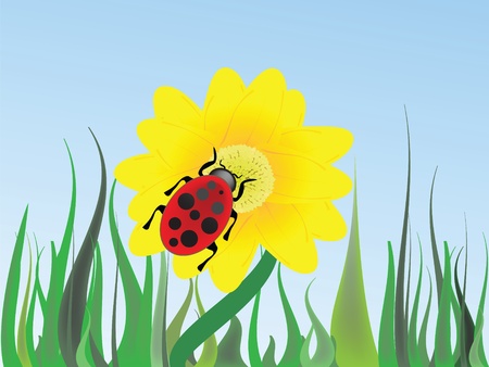 Ladybug on flowerのイラスト素材