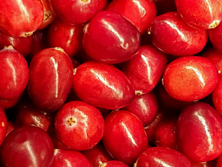 USA, Boston - January 2018 - Close up of Cranberries for sale at the local market