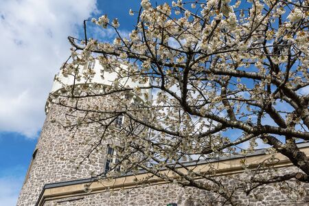UK, Bristol, April 2019 - Observatory at Clifton next to a white blossoming treeの写真素材