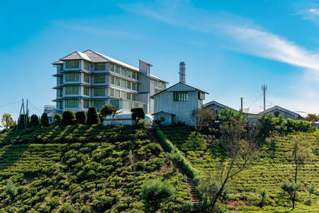 Nyura Ellia, Sri Lanka, Aug 2015: Tea Factory sitting on top of a hillのeditorial素材