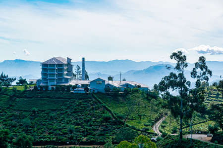 Nyura Ellia, Sri Lanka, Aug 2015: Tea Factory sitting on top of a hillのeditorial素材