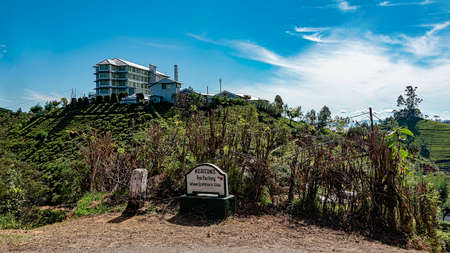 Nyura Ellia, Sri Lanka, Aug 2015: Tea Factory sitting on top of a hillのeditorial素材