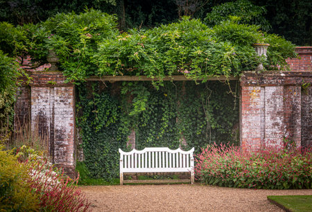 White garden bench in semi formal garden settingの写真素材