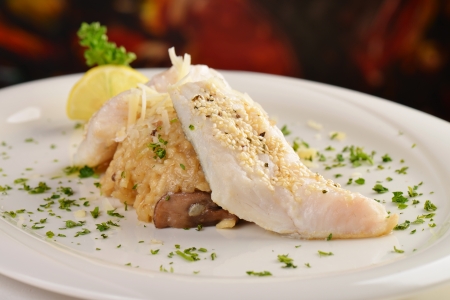 Prepared fillet of a white fish on Risotto with mushrooms and Parsley の写真素材