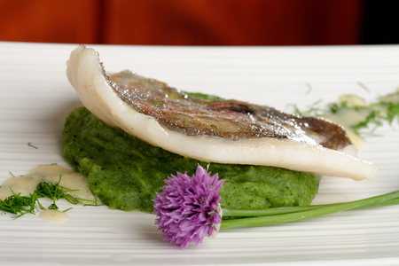 Fine dining, John Dory fish fillet on spinach puree の写真素材