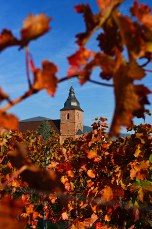 Vinejards with a church, Pfalz, Germanyの写真素材