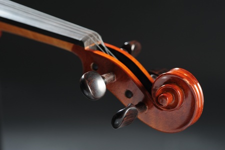 Violin detail,musical instrument,close up の写真素材