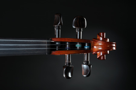 musical instrument violinの写真素材