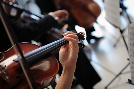 musician plays the violin in the orchestra