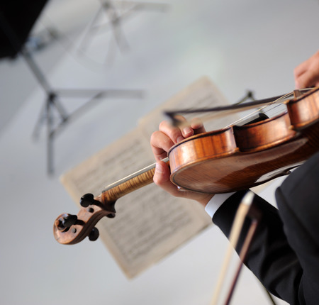 musician plays the violin in the orchestraの写真素材