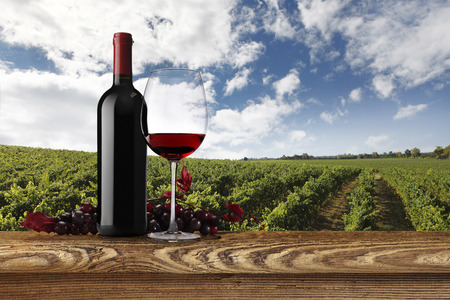 landscape of vineyards with bottle, glass of wine and bunch of grapesの写真素材