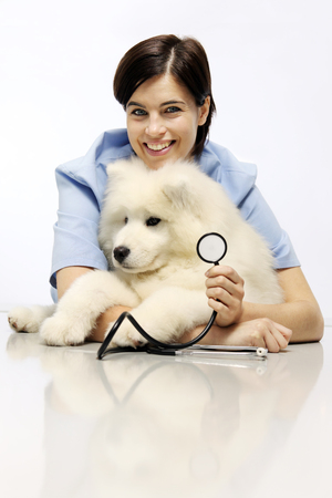 smiling Veterinarian examining dog on blank table in vet clinicの写真素材