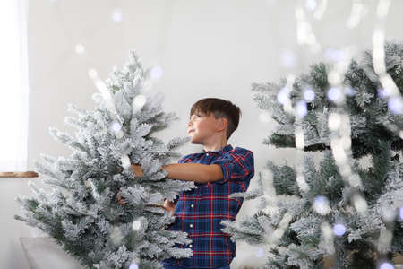 child decorate the christmas tree at homeの写真素材