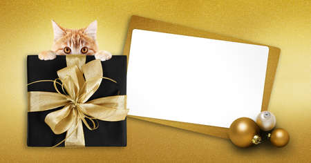 pet shop merry christmas gift card with ginger cat, box package and white ticket on golden glittering background, copy space layout useful for greeting card or label for shopping or tag for sale priceの写真素材