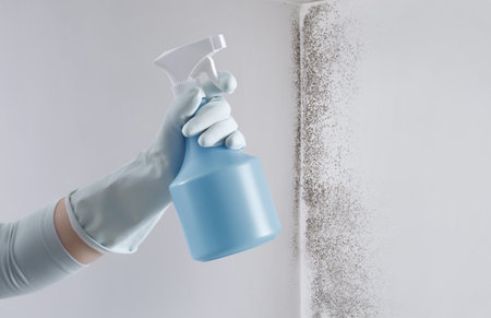 Hand with glove and spray bottle isolated on wall with mold. Eliminate Mold with Specialized Anti-Mold Products. Search cleaning company support. Shopping cleaning products or Housekeeping concept.の写真素材