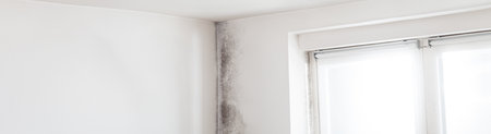 Mold infestation on wall corner near window: Immediate remediation needed for home safety and air...