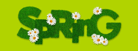 Spring text word lettering with lawn green grass texture effect with daisies flowers, isolated on...
