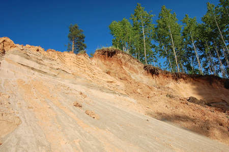 Trees at the cliff on the blue sky backgroundの写真素材