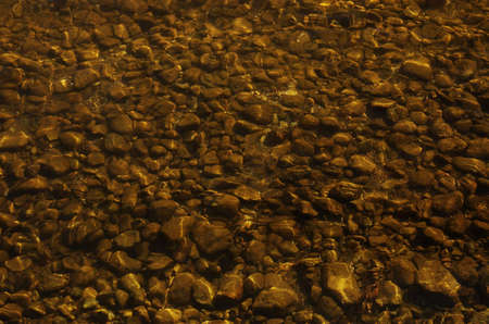 Bottom of the lake texture covered by stones