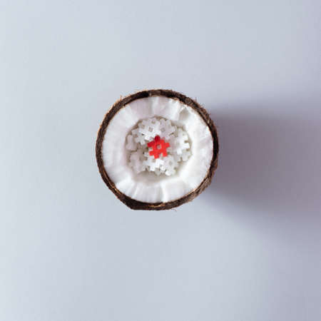 Sliced ââcoconut filled with white puzzles and one red. On a gray background. Minimal conceptの写真素材