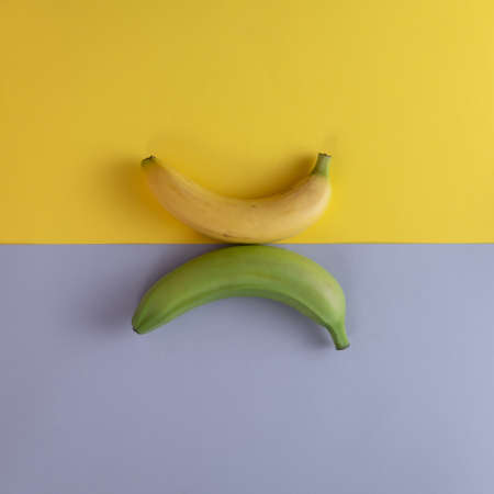 Flat lay bananas on yellow and grey background. From top view. Creative minimal summer idea.
