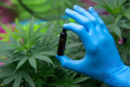 Close up hand holding bottle of Cannabis oil in pipette,natural herb, close up, medical marijuana...
