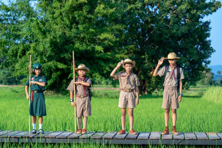 Boy scout symbol,Concept is learning Scout subject.