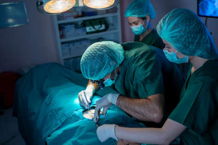 Group doctor surgeon performing surgical operation in modern Operating Room,Healthcare and medical...