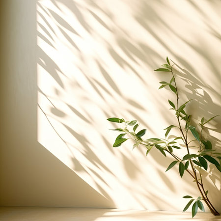 Shadow of tree and green tree branches with sun light and trendy shadow on wall,Modern interior design concept,Generative, AI, Illustration.の素材