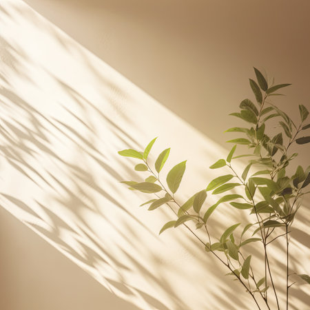Green tree and shadow on a wall background. Olive color stylish flat lay with trendy shadow and sun light,Generative, AI, Illustration.の素材