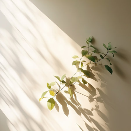 Green tree and shadow on a wall background. Olive color stylish flat lay with trendy shadow and sun light,Generative, AI, Illustration.の素材