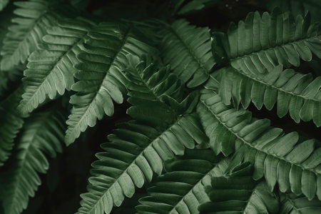 Tropical leaf, Abstract green leaf texture, Nature background.の素材