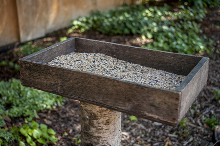 Bird food for our little friends for foodの写真素材