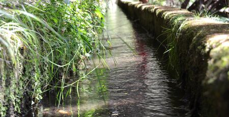 Water ditch through a forest near a narrow dirt road