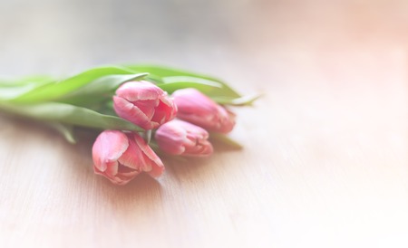 Bright pink tulips on natural wooden background, with the spray of the water, in honor of women's day.の写真素材