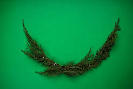 Christmas concept. Green branches of a Christmas tree on a green background, top view, flat lay.の写真素材