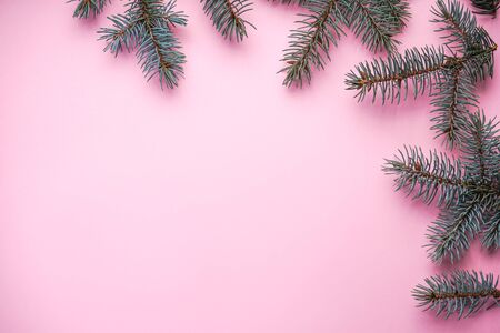 Christmas tree branches, on a pink background, with place for text, top viewの写真素材