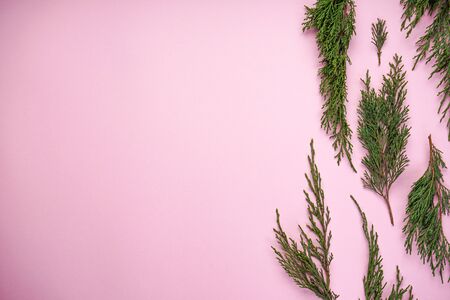 Christmas tree branches, on a pink background, with place for text, top viewの写真素材